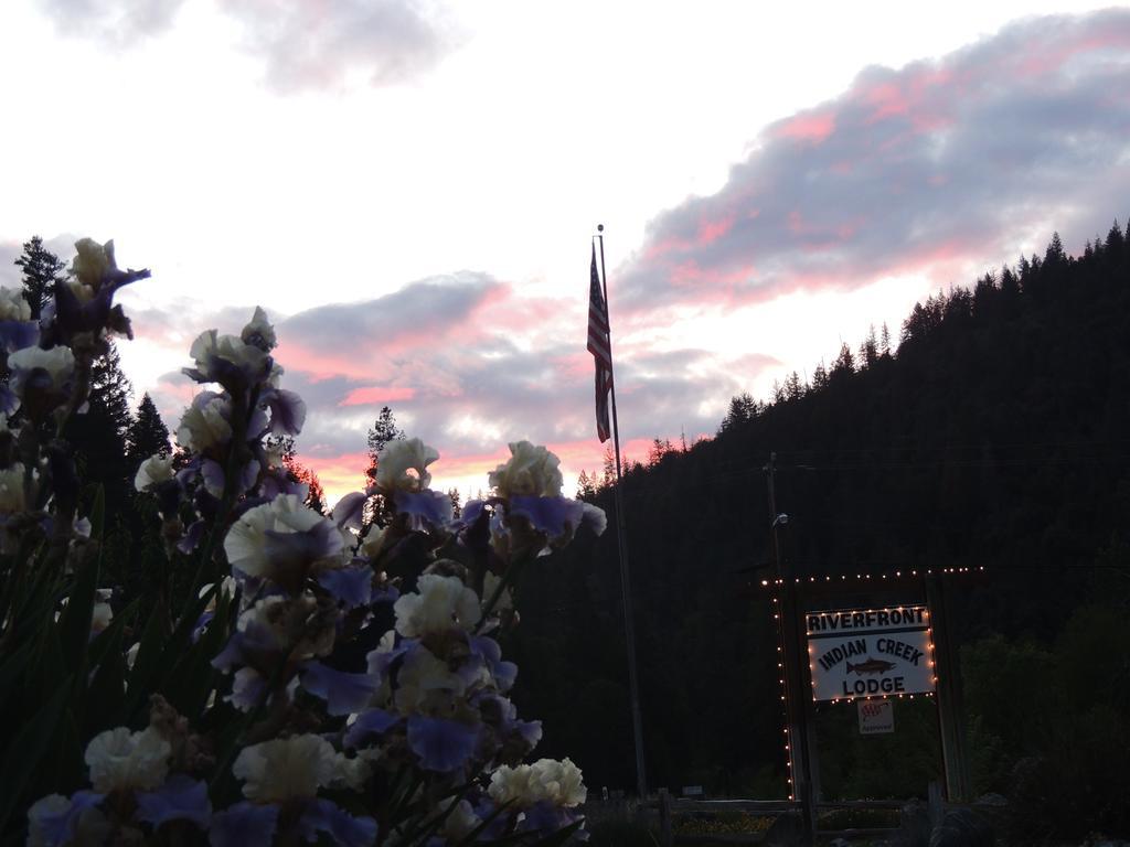 Indian Creek Lodge Douglas City Zewnętrze zdjęcie